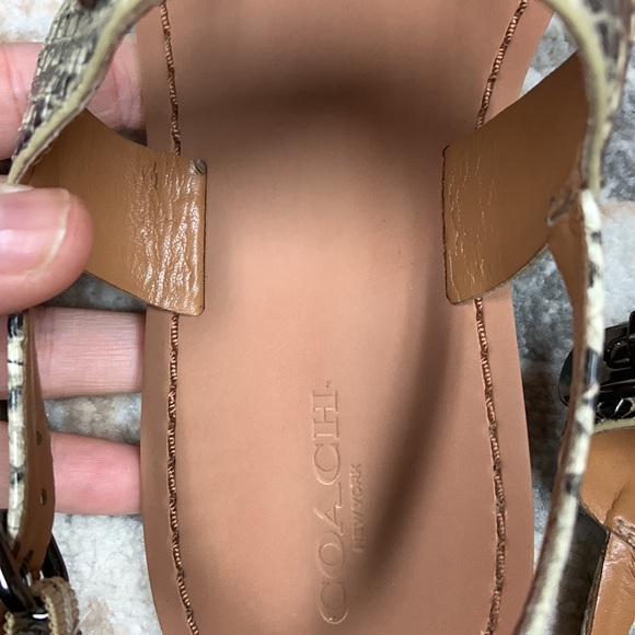 Coach Python Sandals - Picture 3 of 10